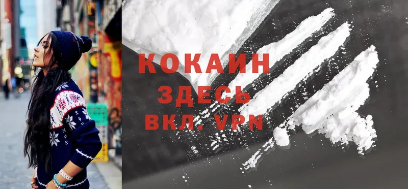 где купить наркоту  Змеиногорск  Cocaine 97% 